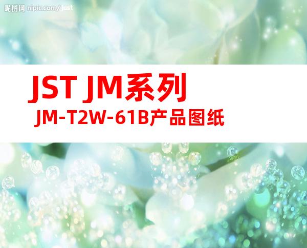 JST JM系列 JM-T2W-61B产品图纸